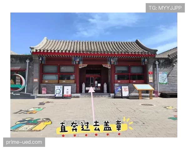 张楠退役后住进北京四合院,每天遛弯儿比训练还准时 张楠退役后住进北京四合院,每天遛弯儿比训练还准时